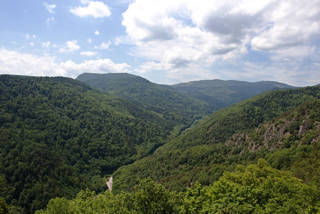 vogezen ardennen belgie frankrijk luxenburg luxembourg france belgique hdr natuur natuurgebied gebergte bergen bos bossen